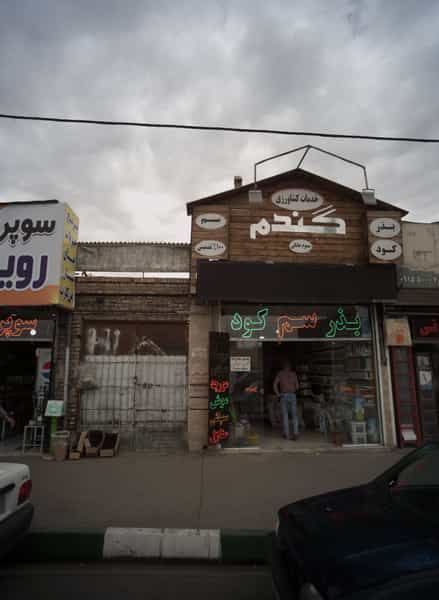 عکس خدمات کشاورزی گندم در پورسینا مشهد