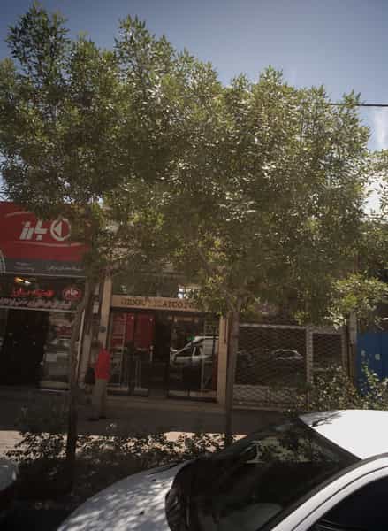 عکس فروشگاه جام تایر توکلی کوی پلیس مشهد