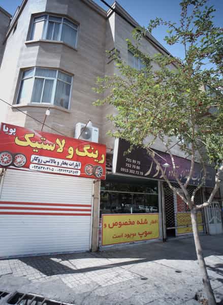 عکس رینگ و لاستیک پویا در هنرور مشهد