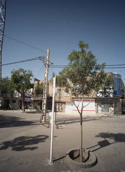 عکس لوازم یدکی بیضانی در وحید مشهد