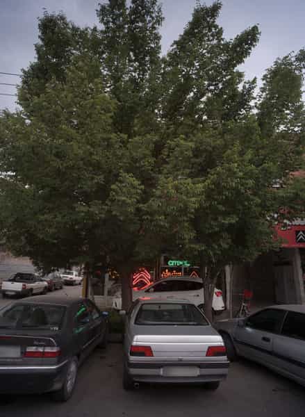 عکس فروشگاه لوازم یدکی خودرو در کوشش مشهد