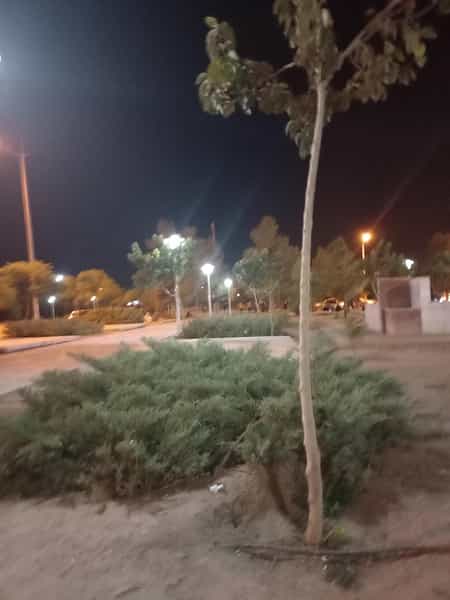 عکس ساندویچ فروشی الغدیر در پردیسان قم