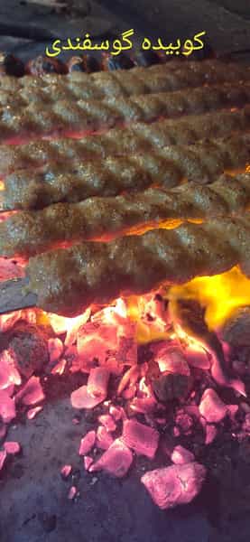 عکس کباب گلپایگانی در دانشگاه قزوین