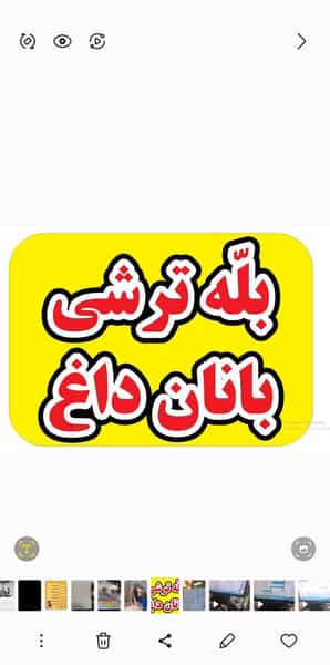 عکس مستر بَلّه قم