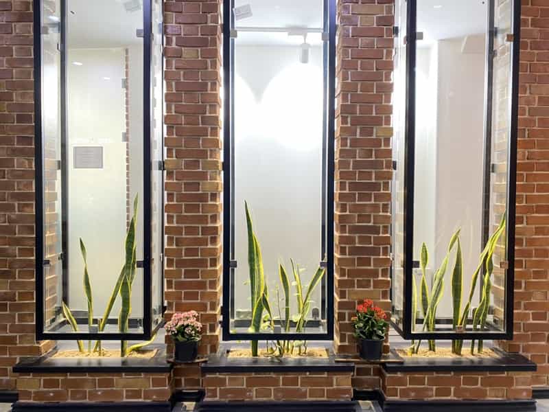 عکس دکتر خطیبی در بهشتی شهریار