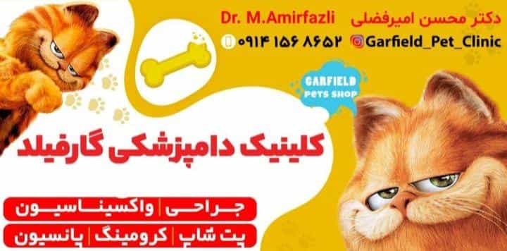 عکس پت شاپ و کلینیک تخصصی حیوانات خانگی گارفیلد(دکتر امیرفضلی) در ججین اردبیل
