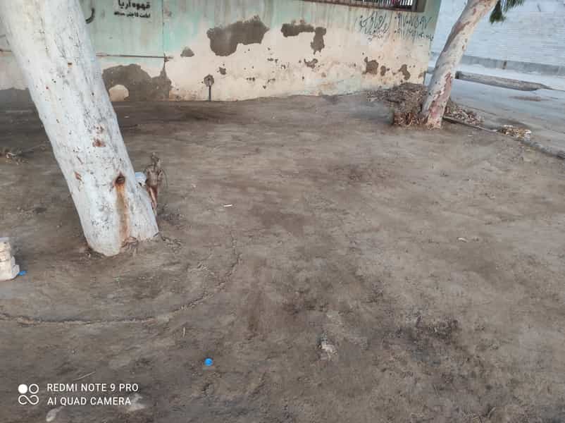 عکس فلافل ناب بندر در گلشهر بندرعباس