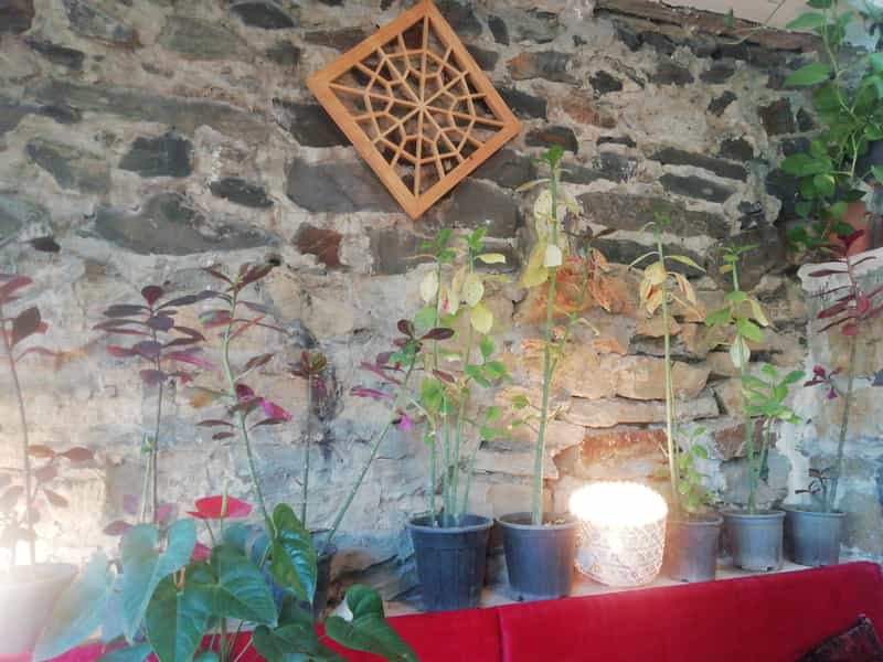 عکس رستوران خانوادگی آکو همدان