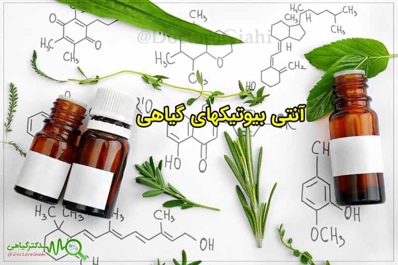 عکس گیاهان دارویی عطاری پردیس چهاراه عامل و مطهری ش ۷
