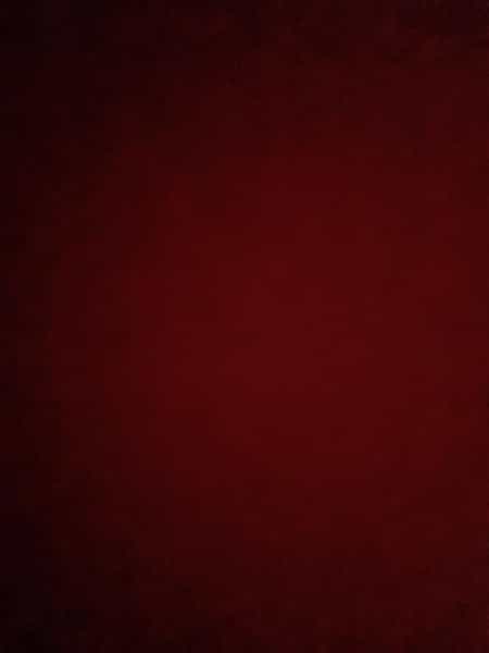 عکس آرایشگاه کاکتوس قدس