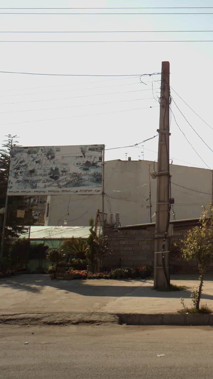 عکس شرکت تولیدی گل وگیاه کوی برق ساری