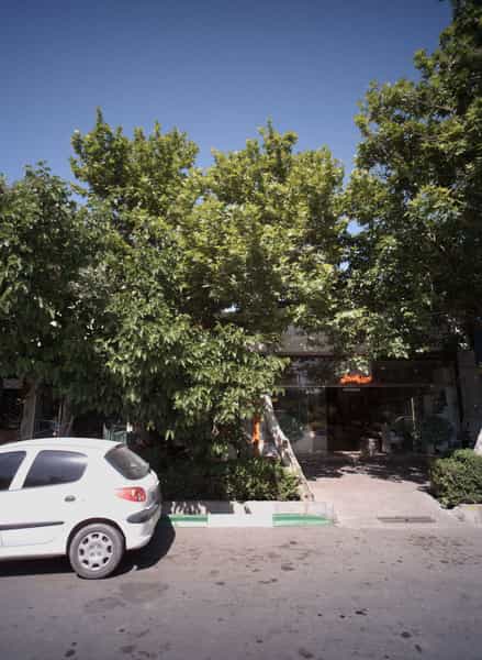 عکس فروشگاه آجیل و خشکبار حسین زاده ملکی در سعد آباد مشهد