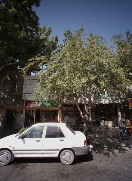 عکس فروشگاه آجیل و خشکبار در سعد آباد مشهد