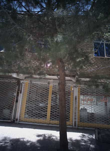 عکس خشکبار جماران در شهید قربانی مشهد