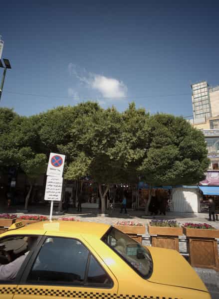 عکس فروشگاه آجیل و خشکبار در آیت الله خامنه ای مشهد