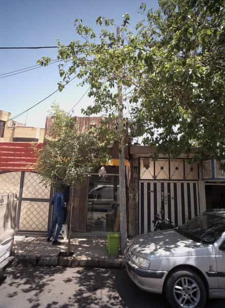 عکس آجیل فروشی در تلگرد مشهد