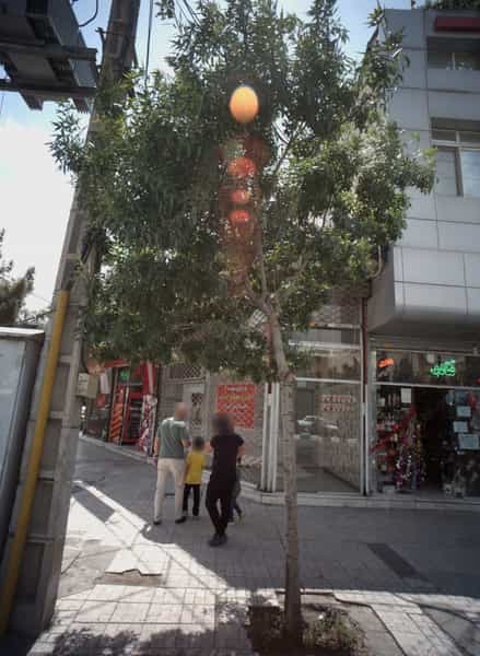 عکس آجیل و خشکبار علیزاده شهرک غرب مشهد