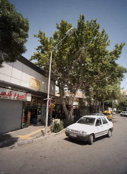 عکس آجیل و خشکبار در جنت مشهد