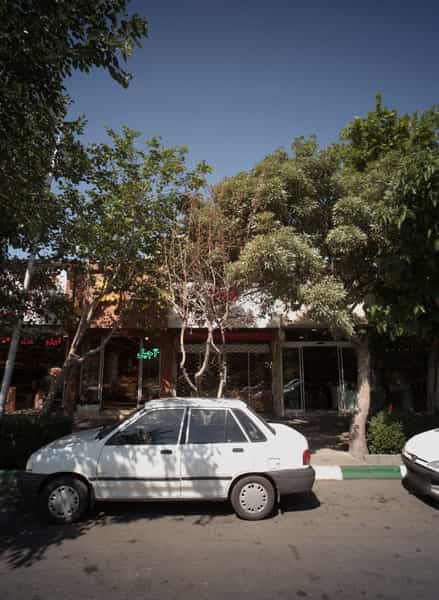 عکس فروشگاه آجیل وخشکبار در سعد آباد مشهد