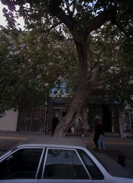 عکس فروشگاه خشکبار و محصولات طبیعی در امام رضا مشهد