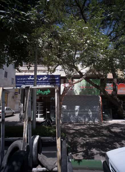 عکس آجیل موعود در سعد آباد مشهد