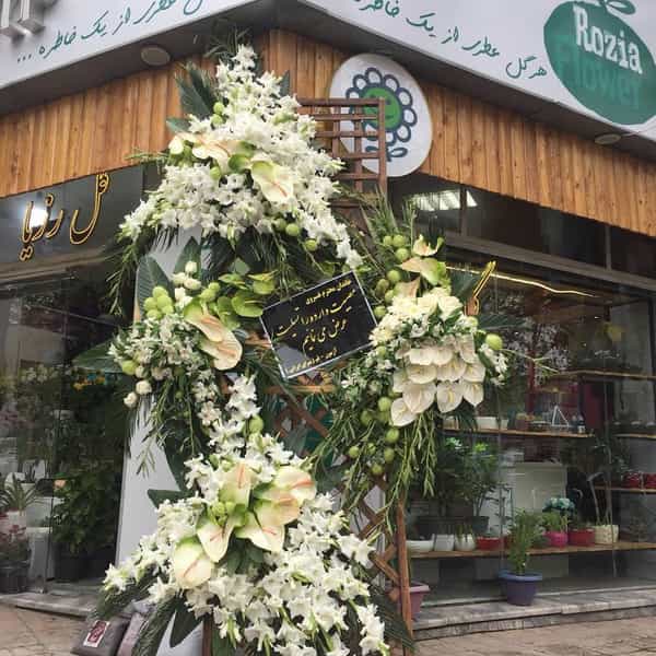 عکس گل رزیا در کوه سنگی مشهد