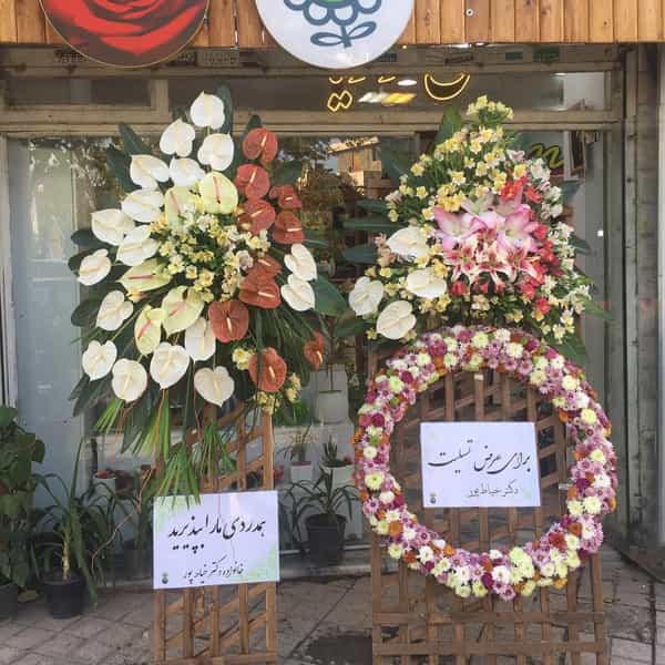 عکس گل رزیا در کوه سنگی مشهد