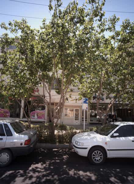 عکس طلاجات حسینی در فاطمیه مشهد