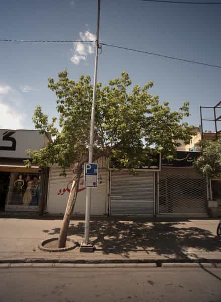عکس طلاجات محمد در عبادی مشهد