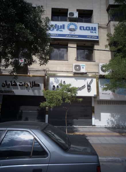 عکس طلاجات شایان در طلاب مشهد
