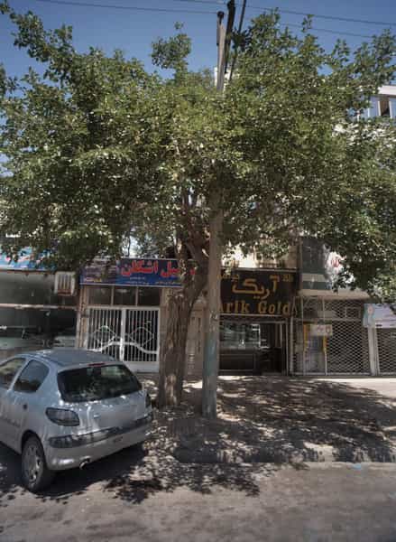 عکس طلا جواهر آریک در گاز مشهد