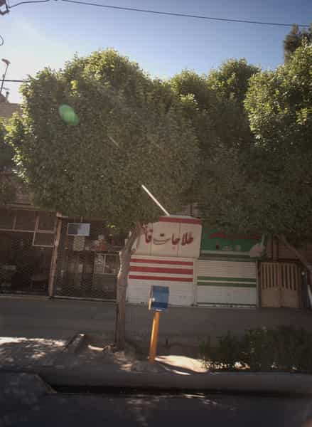 عکس طلاجات ولیعصر عج در پنجتن آل عبا مشهد