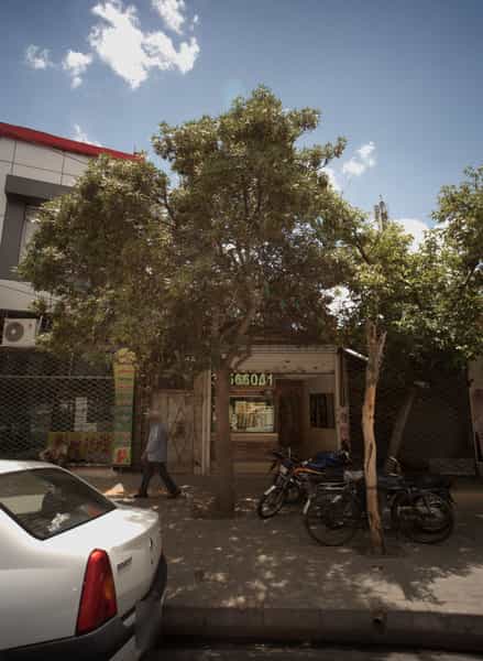 عکس طلاجات مروارید در شهید آوینی مشهد