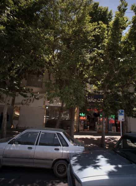 عکس طلای آذین در هنرور مشهد