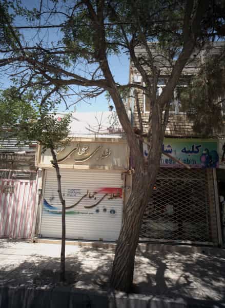 عکس طلای جمالی در رده مشهد