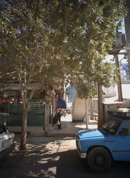 عکس طلا جات عسل در بلال مشهد