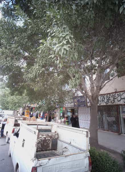 عکس طلاجات مهدی در پنجتن آل عبا مشهد