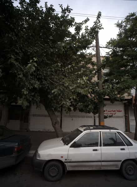 عکس طلاجات کوچک زاده شهرک شهید رجایی مشهد