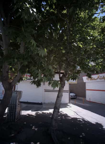 عکس طلای شمس در طلاب مشهد