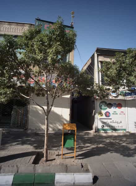 عکس سعدی در سراب مشهد