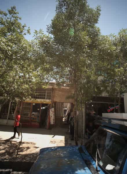 عکس پارچه فروشی در رده مشهد
