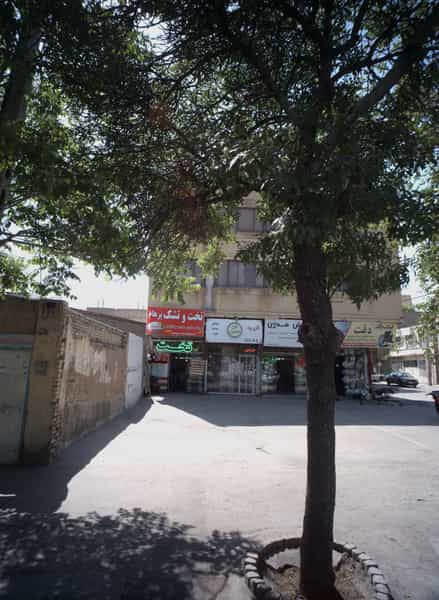 عکس گالری پرده گل نرگس در کارمندان اول مشهد