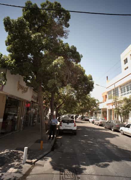 عکس گالری پرده هما در عامل مشهد