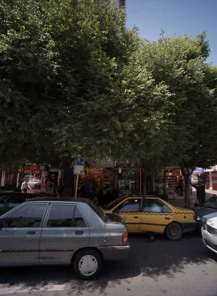 عکس عینک فروشی در دانش مشهد