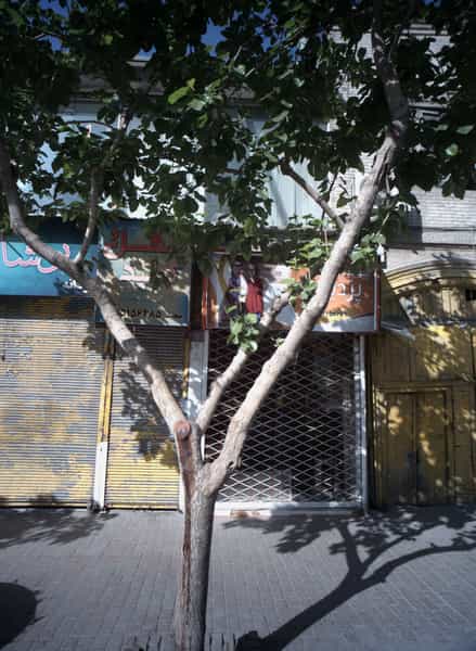 عکس قفل و کلید در سراب مشهد