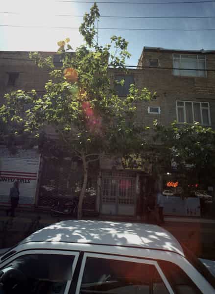 عکس کلید سازی محمد در شفا مشهد