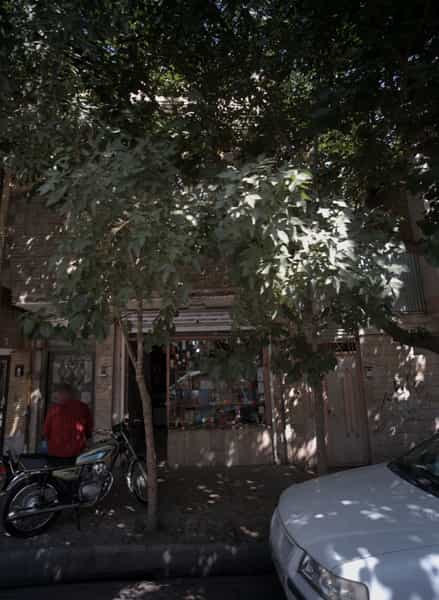 عکس خرازی گل نرگس در خواجه ربیع مشهد