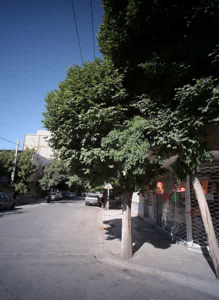 عکس خرازی باران کوی امیرالمومنین مشهد