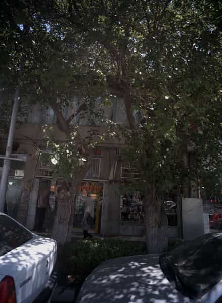 عکس خرازی سیدی در خرمشهر مشهد