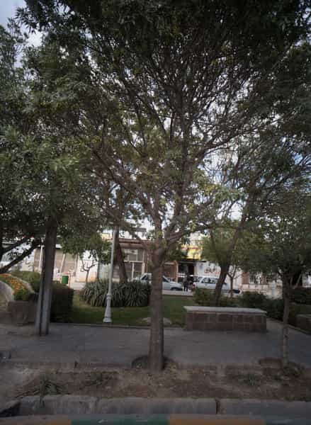عکس رادیاتور سازی ایران در فدک مشهد